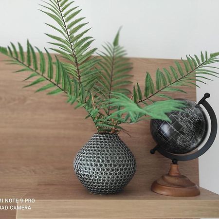 Blue Berry Apart Budva Ngoại thất bức ảnh